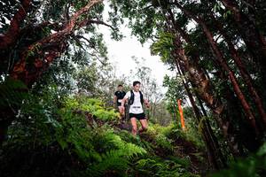 BIB: 
                            <button type="button" onclick="openModal(26202593)" class="btn btn-primary btn-sm float-right btn-popup" data-toggle="modal" data-target=".modal-high-quality">
                        <i class="fas fa-shopping-cart"></i> Add to Cart
                    </button>
                                            <button type="button" onclick="isThisMe(26202593, true)" class="btn btn-success btn-sm float-right btn-popup btn-isme hidden" data-toggle="tooltip" data-placement="bottom" title="นี่คือรูปของคุณใช่ไหม คลิกที่นี่เพื่อเอาเข้าอัลบั้ม">
                        <i class="fas fa-plus"></i> Add to album
                    </button>
                    <button type="button" onclick="isThisMe(26202593, false)" class="btn btn-warning btn-sm float-right btn-popup btn-isnotme hidden">
                        <i class="fas fa-ban"></i> Remove from album
                    </button>